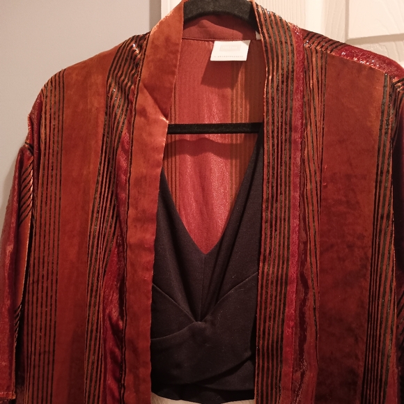 Anthropologie ett:twa Burnt Orange Velvet Kimono - Picture 5 of 13